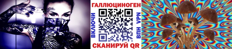 Псилоцибиновые грибы MAGIC MUSHROOMS  продажа наркотиков  MEGA маркетплейс  Сунжа 