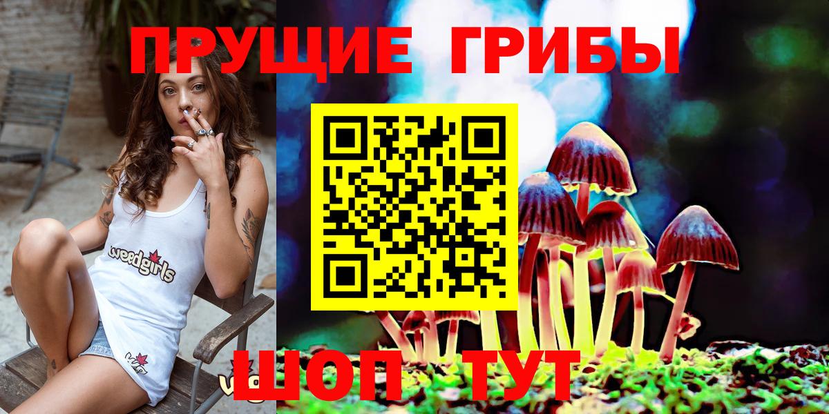 Галлюциногенные грибы прущие грибы Сунжа