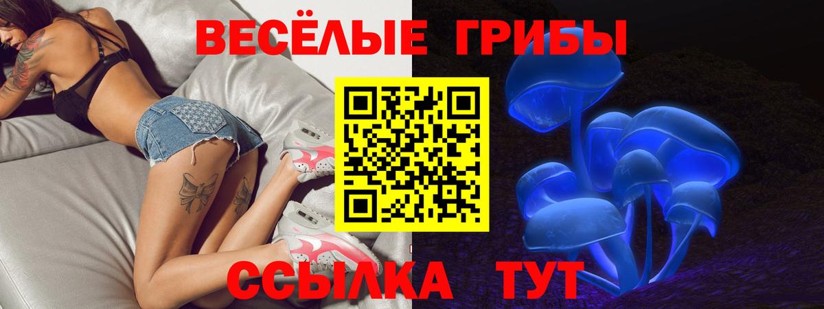 Псилоцибиновые грибы Psilocybine cubensis Сунжа