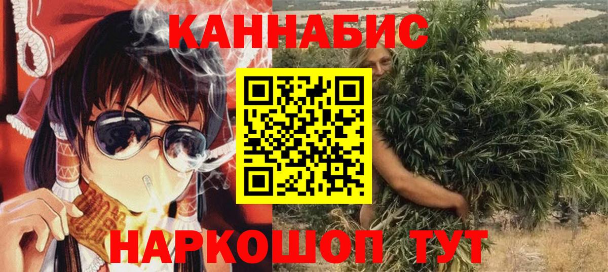 Бошки марихуана индика  Сунжа  МАРИХУАНА семена 